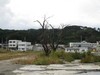 山田町(少し復興の足音が聞こえてきたかな?)